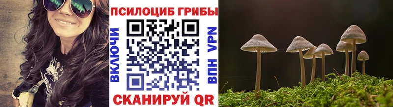 Псилоцибиновые грибы Cubensis  Арсеньев 