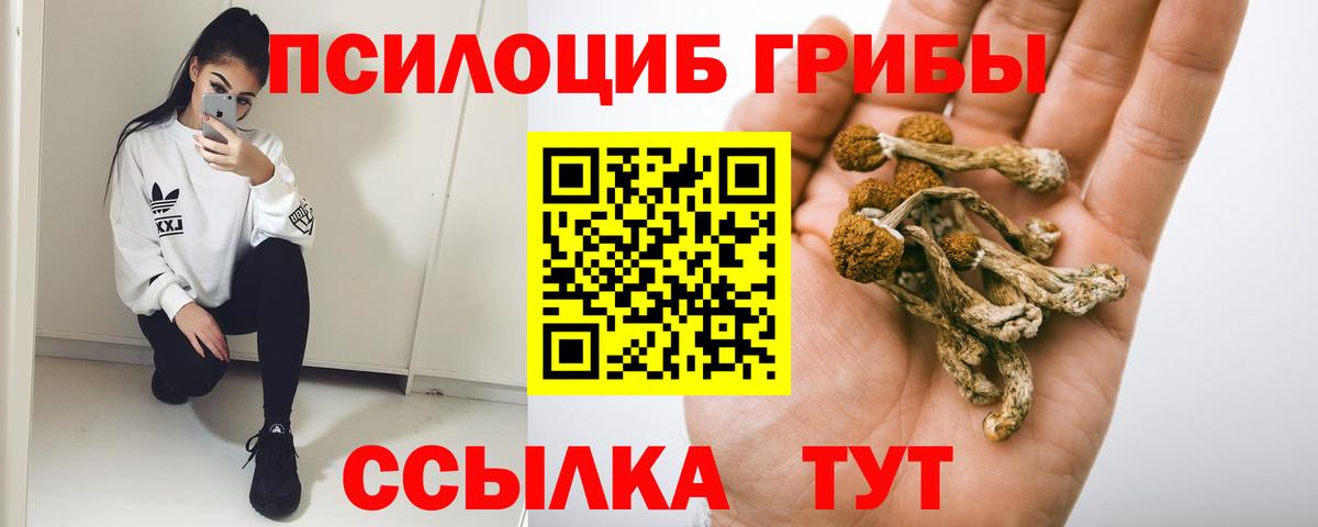 Галлюциногенные грибы Cubensis Арсеньев